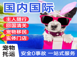 滋润机场快运国际宠物托运 【国